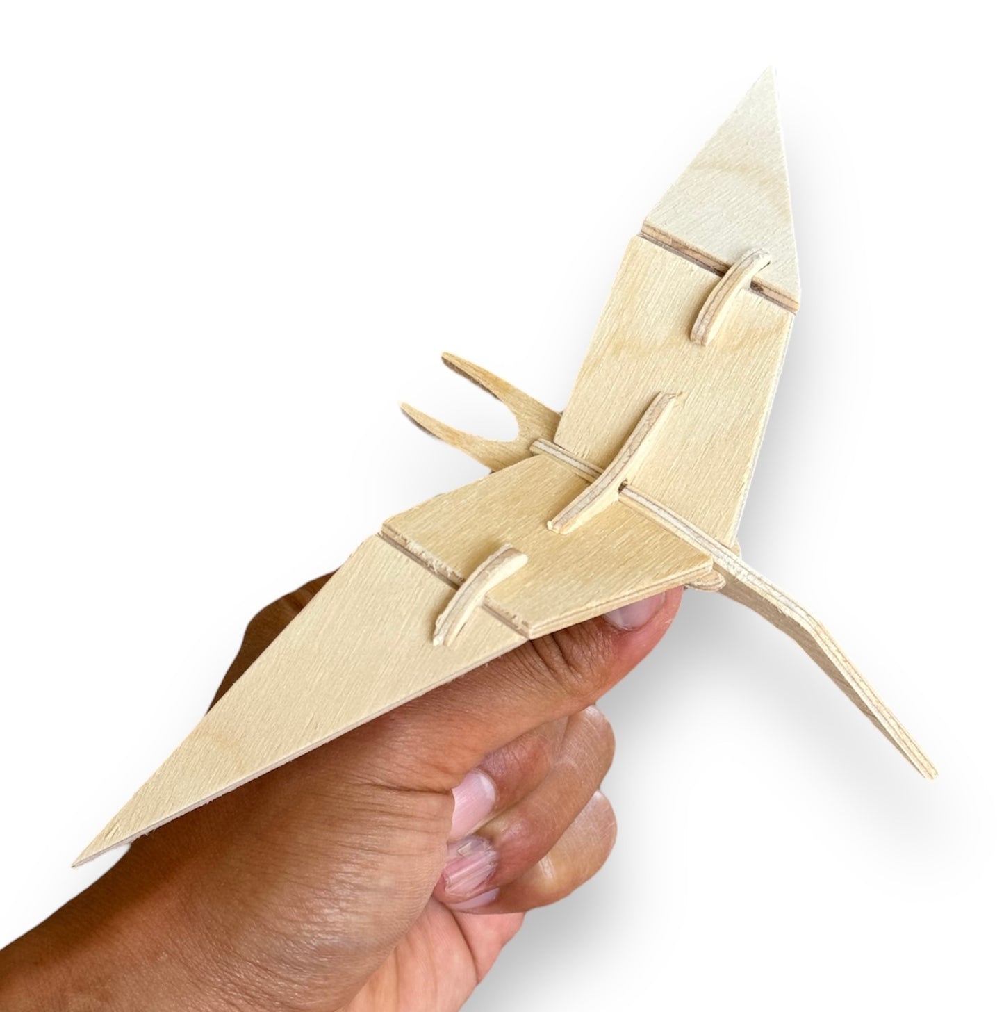 m. | Tern | Build-A-Pet (Copy)