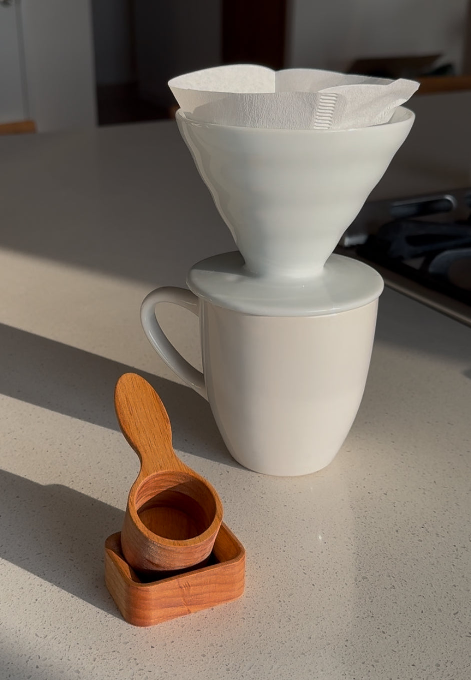 4.1 | Scoop | coffee measuring device