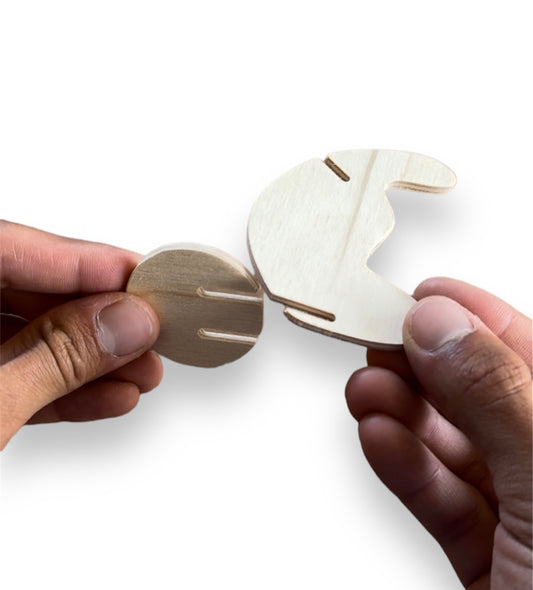 n. | Bison | Build-A-Pet