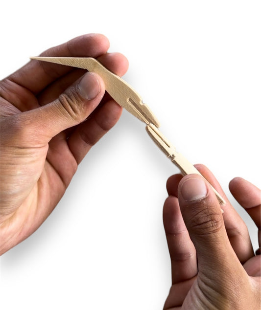 m. | Tern | Build-A-Pet (Copy)