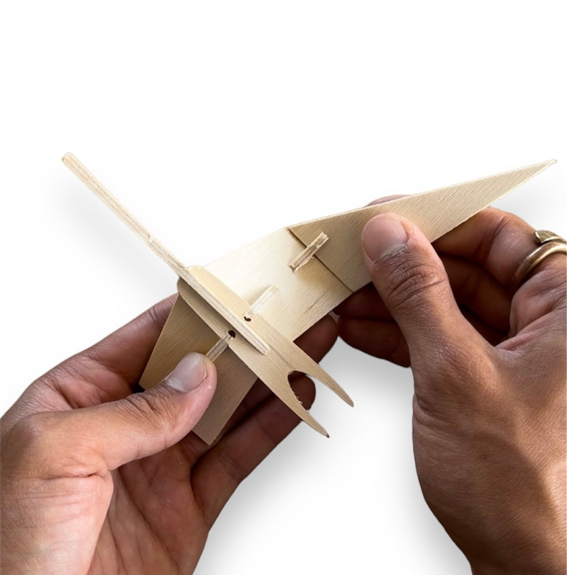 m. | Tern | Build-A-Pet (Copy)