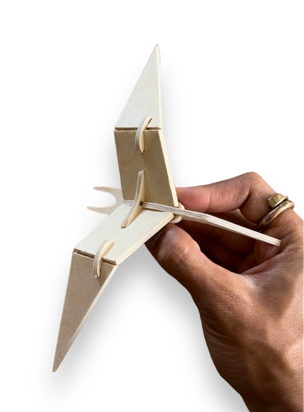 m. | Tern | Build-A-Pet (Copy)