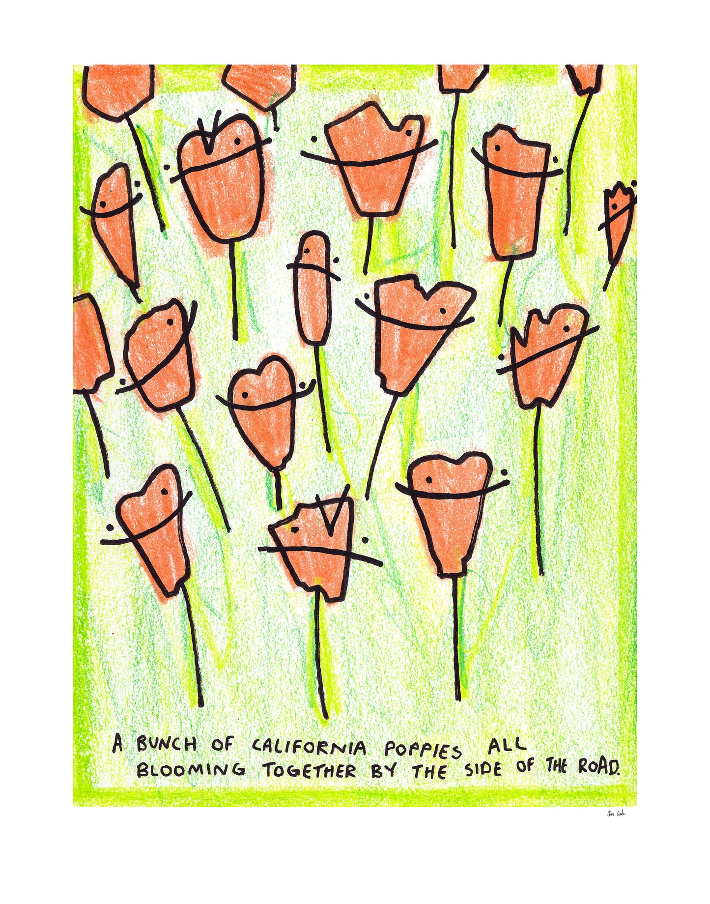 p. | Poppies | 11" x 14" Print